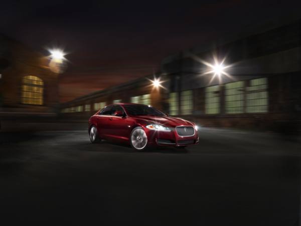 Photograph Kevin Necessary Jaguar on One Eyeland